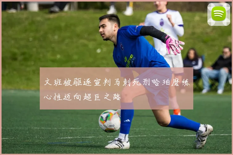 文班被驱逐宣判马刺死刑哈珀磨练心性迈向超巨之路
